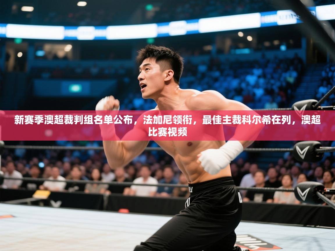 爱游戏体育官网-新赛季澳超裁判组名单公布，法加尼领衔，最佳主裁科尔希在列，澳超比赛视频  第1张