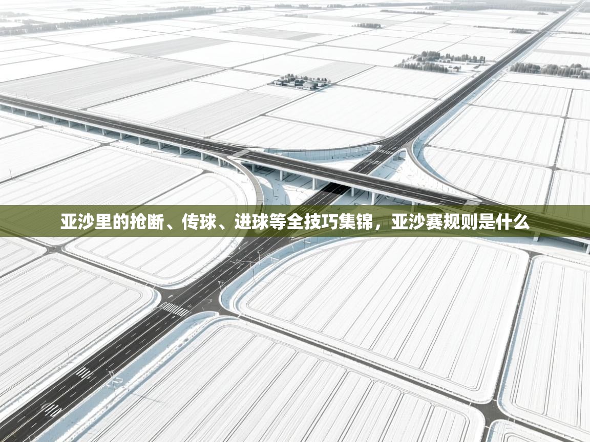 -亚沙里的抢断、传球、进球等全技巧集锦，亚沙赛规则是什么  第3张