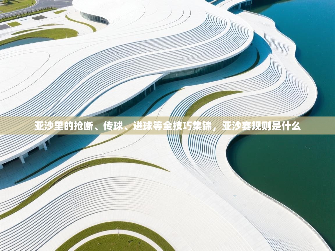 -亚沙里的抢断、传球、进球等全技巧集锦，亚沙赛规则是什么  第2张