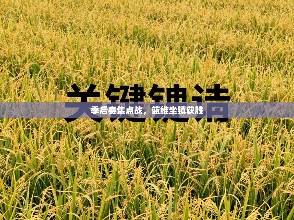 爱游戏体育在线-季后赛焦点战，篮维坐镇获胜  第2张