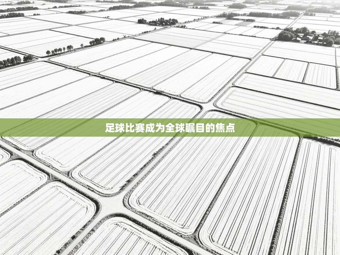 爱游戏体育官网app-足球比赛成为全球瞩目的焦点  第1张