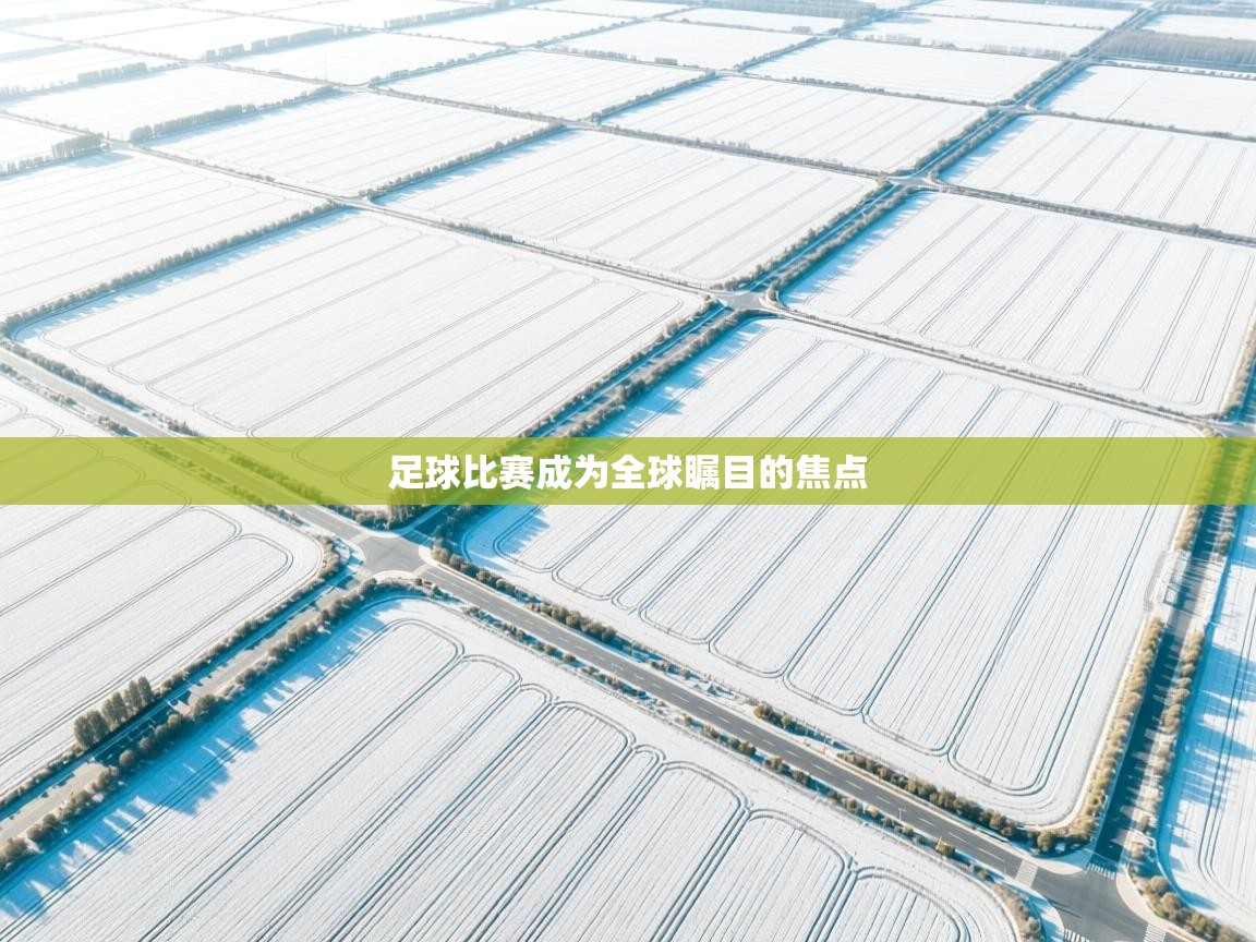 爱游戏体育官网app-足球比赛成为全球瞩目的焦点  第2张