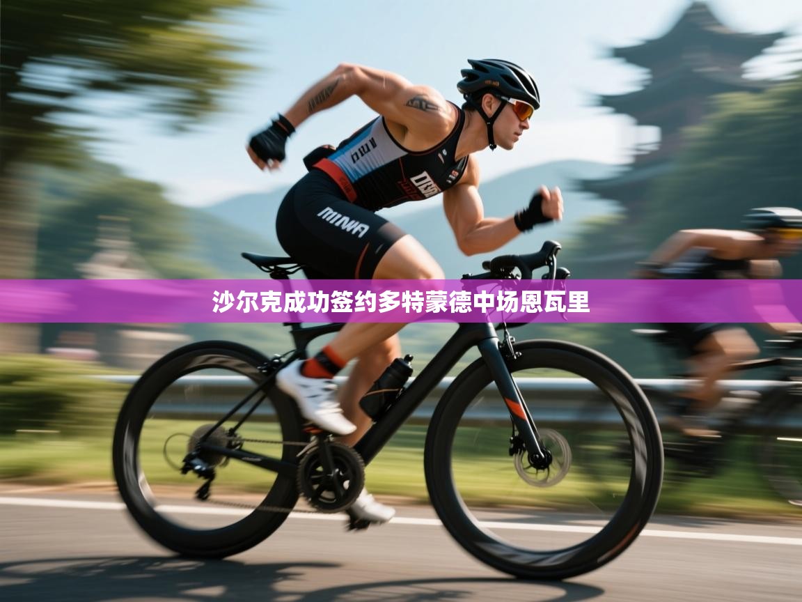 爱体育游戏网站-沙尔克成功签约多特蒙德中场恩瓦里  第4张