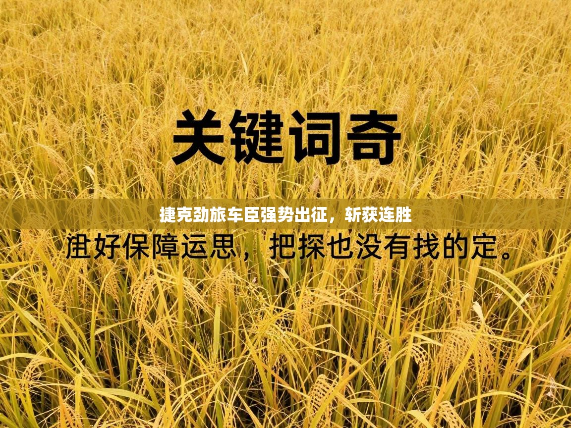爱游戏体育下载-捷克劲旅车臣强势出征，斩获连胜  第4张