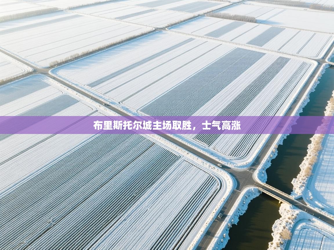 爱游体育直播app-布里斯托尔城主场取胜，士气高涨  第2张