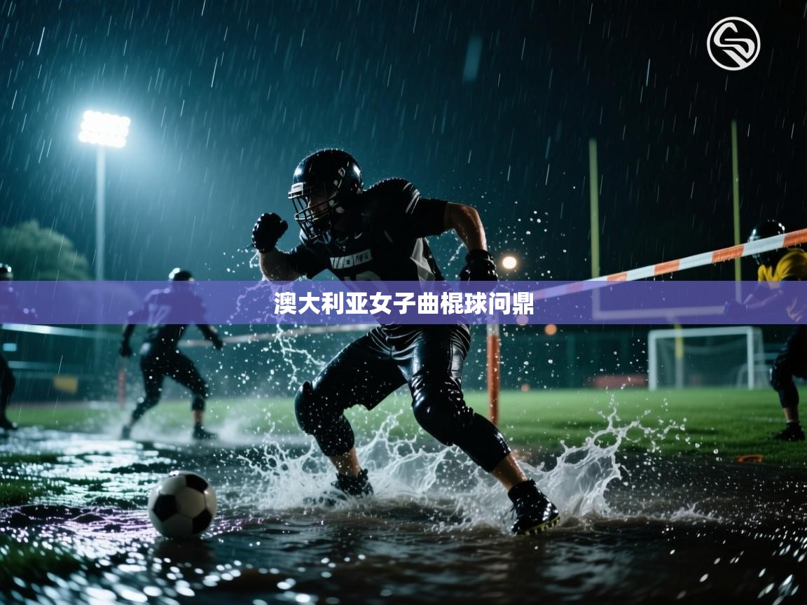 爱游戏体育娱乐赞助罗马-澳大利亚女子曲棍球问鼎  第3张