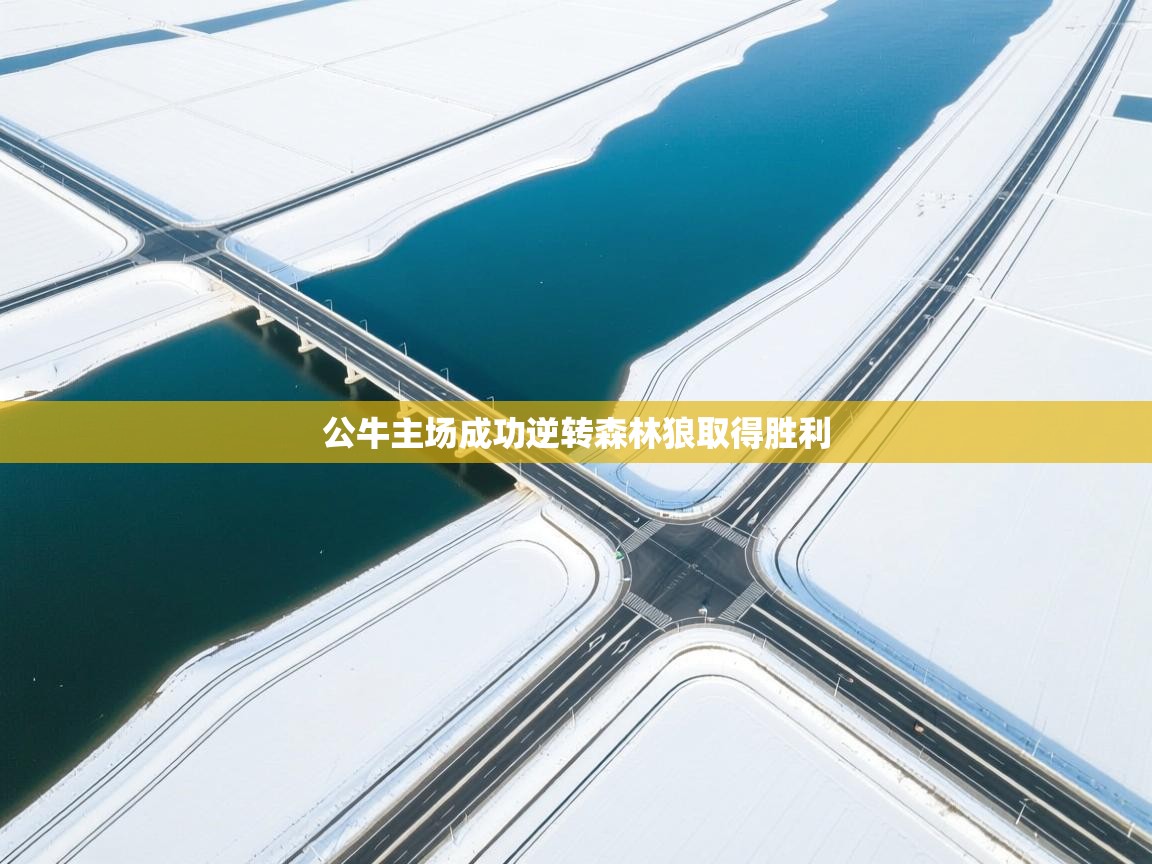 爱游戏体育娱乐赞助意甲-公牛主场成功逆转森林狼取得胜利  第1张