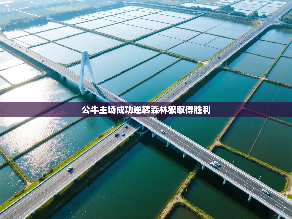 爱游戏体育娱乐赞助意甲-公牛主场成功逆转森林狼取得胜利  第2张