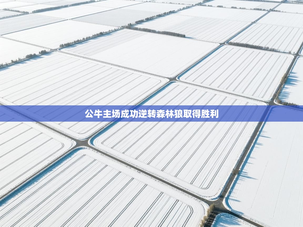 爱游戏体育娱乐赞助意甲-公牛主场成功逆转森林狼取得胜利  第3张