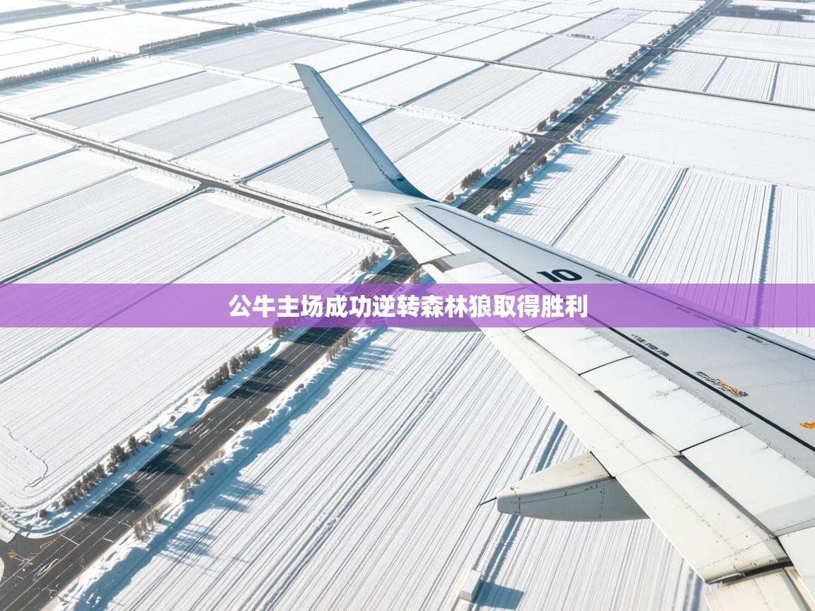 爱游戏体育娱乐赞助意甲-公牛主场成功逆转森林狼取得胜利  第4张