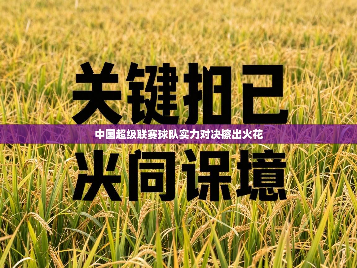 爱游戏 ayx 中国官方网站_ayx sports-中国超级联赛球队实力对决擦出火花 第3张