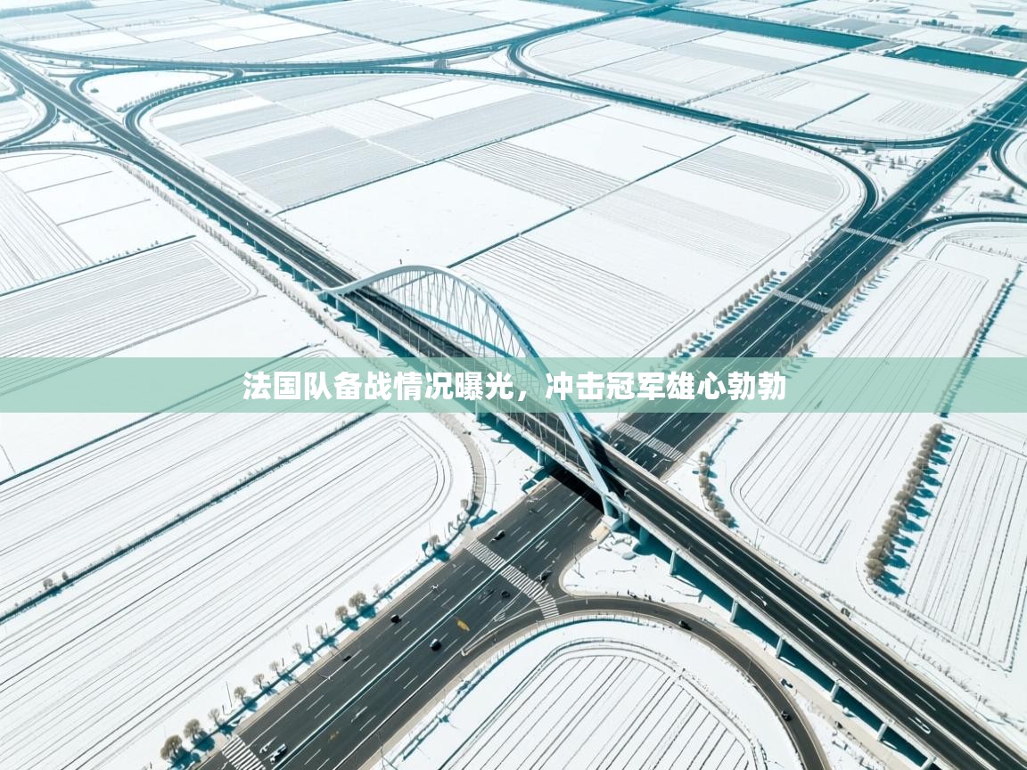爱游戏体育-法国队备战情况曝光，冲击冠军雄心勃勃  第1张