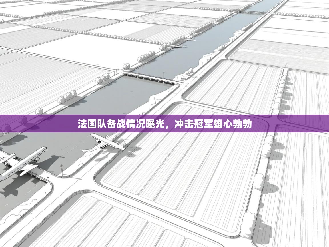 爱游戏体育-法国队备战情况曝光，冲击冠军雄心勃勃  第2张