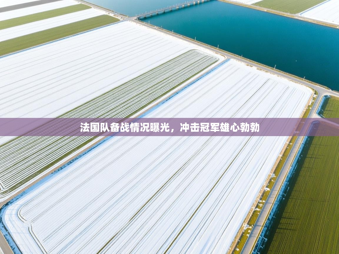 爱游戏体育-法国队备战情况曝光，冲击冠军雄心勃勃  第4张