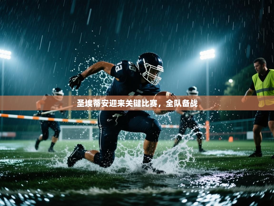 欢娱游戏平台-圣埃蒂安迎来关键比赛，全队备战  第2张