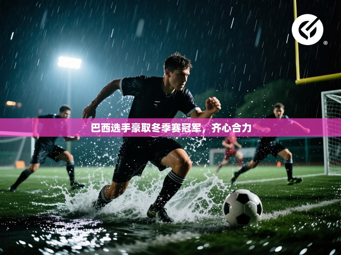 爱体育游戏网站-巴西选手豪取冬季赛冠军,齐心合力 第1张