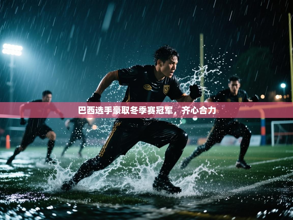 爱体育游戏网站-巴西选手豪取冬季赛冠军,齐心合力 第4张