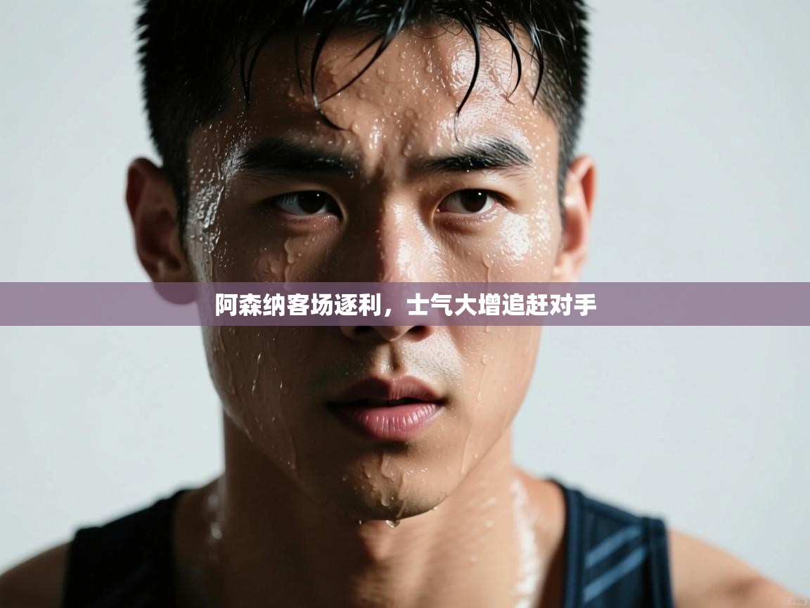 爱游戏ayx官网下载-阿森纳客场逐利,士气大增追赶对手 第1张