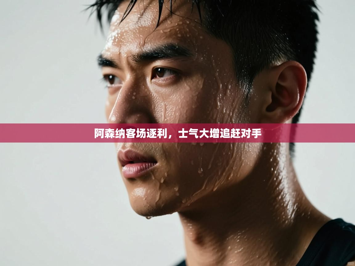 爱游戏ayx官网下载-阿森纳客场逐利,士气大增追赶对手 第3张