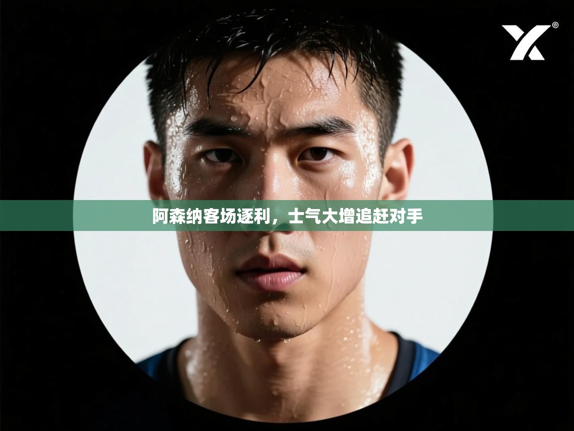 爱游戏ayx官网下载-阿森纳客场逐利,士气大增追赶对手 第4张